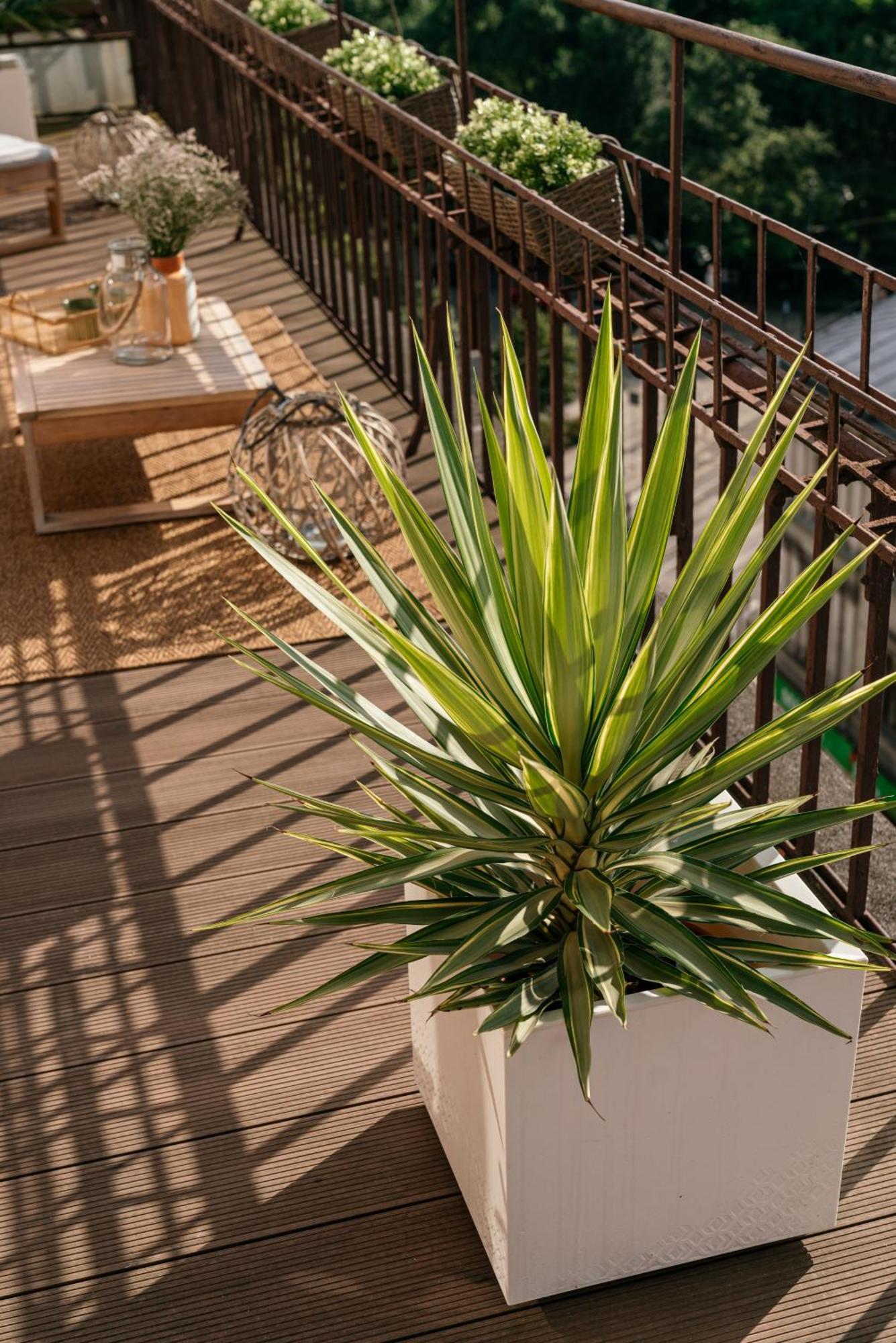 Penthouse Panorama - Loftaffair Apartment คราคูฟ ภายนอก รูปภาพ